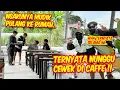 Download Lagu Buntutin Najib ketemuan sama cewe di Caffe !! APAKAH ITU PACARNYA ??