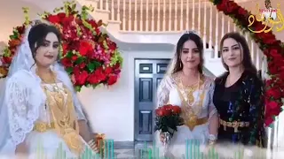 ايوب طارش حبيبي قلبي يحن حنينوه 