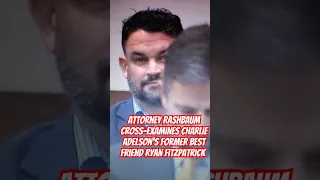 Daniel Rashbaum cross-examines Ryan Fitzpatrick former Adelson friend