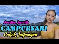 Download Lagu Campursari Cokek Jaipongan | paling enak di dengar | irama jowo