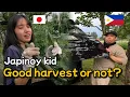Harvesting Some Vegetables in Japan | UPDATE to MINI FARN | Filipino Single Father in Japan