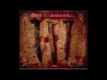 Hank Williams III - Dick In Dixie