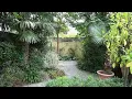 Download Lagu 2 Small Dutch Tropical Style Gardens