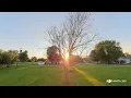 A Dead Tree