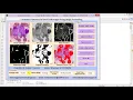 Matlab Code for Leukemia Detection Using Image Processing IEEE Based Project