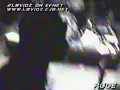 Descendents - I'm The One (Live in 1996)