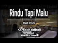 Download Lagu Rindu tapi malu - Cut Rani - karaoke akustik nada cowok