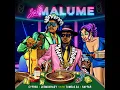Cyfred & LeeMcKrazy - Saka Malume (feat. Tumelo_za & Sayfar) [Official Audio] Amapiano