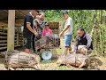Download Lagu Sell ​​large herd of pigs to traders - Harvesting guava to sell with daughter and baby