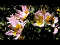 Jordana - You re In The Way (instrumental)