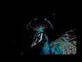 Lege-Cy - El Neyya | ليجي-سي - النيه (Slowed - Reverb)