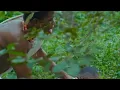 THE LAST TEARS OF CHIMA The Nigerian Gay Boy Living In Pain A Heartbreaking LGBTQ Love Story