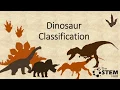 Dinosaur Classification