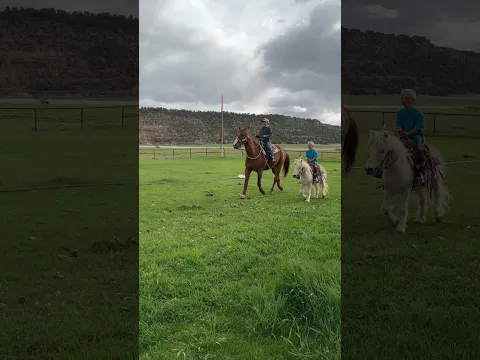 Riding their first rescue horses #horse