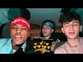 The Bomb Digz Compilation