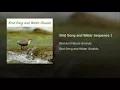 Bird Song and Water Sequence 1