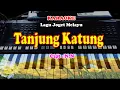 Download Lagu LAGU JOGET - TANJUNG KATUNG - KARAOKE
