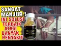 SIMAK ! Manfaat Habbatussauda Extra Propolis Trigona Asli Untuk Mengatasi Berbagai Penyakit