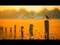 Download Lagu rise again.