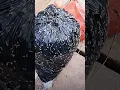 Cara membunuh belatung edit