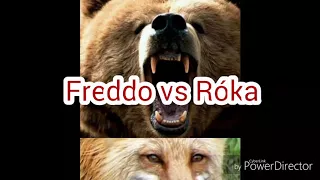 kokonoshi fox vs mr freddo