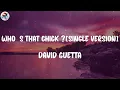 David Guetta - Who's That Chick ? (feat. Rihanna) [Single Version] (Lyrics)