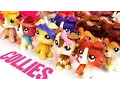 All My LPS Collies UPDATED