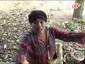 Odang Ft Masdani Nst - Pangaruh Judi