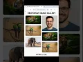 Design a Responsive Image Gallery Using Flexbox