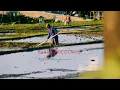 Download Lagu AAS ROLANI,LINTANG WULAN:vlog pemandangan sawah