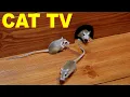 Download Lagu Cat Games | Mice in the Jerry Mouse Hole 🐭 | Hide \u0026 Seek | 8 HOUR 🐭 | 4K UHD 60fps