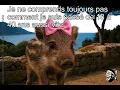Memes corses hilarants la macagna dans toute sa splendeur Compilation qui va vous faire rire