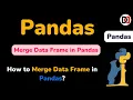 How to Merge Data Frame in Pandas in HINDI Pandas Tutorial by DevDuniya