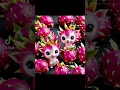 Unleash Your Creativity with Dragon Fruit-Inspired DIY Art