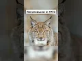 Download Lagu Animals That went extinct then Came back