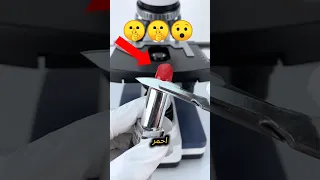 أحمر الشفاة تحت المجهر Shorts 