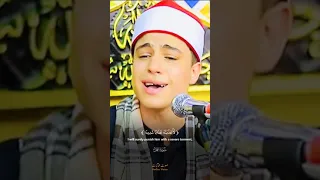 وتفقد الطير محمد ماهر الشناوى شاهد هذا الجمال في التلاوة قران راحة نفسية اكسبلور محمد الشناوي 