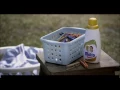 Download Lagu Molto Essence \