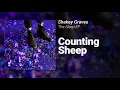 Shakey Graves // Counting Sheep