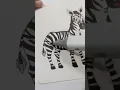 zebra coloring