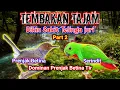 Download Lagu suara masteran burung kombinasi tembakan tajam dan ngerol panjang || SERINDIT PRENJAK KEBUN BETINA