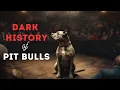 The Dark History of Pitbulls