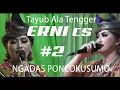 Download Lagu TAYUB ALA TENGGER ERNI DAN ADILARAS LIVE NGADAS