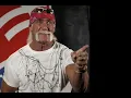 Hulk Hogan - Wikipedia article