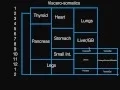 Viscero-somatics For COMLEX Level I