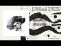 Os Paralamas do Sucesso - Inundados (Alagados) (Áudio Oficial)