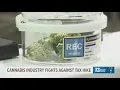 Michigan dispensary owner warns of impact from new 24 wholesale tax on cannabis