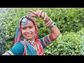 Lagu Pundela Rajasthani folk song \