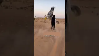 الخيل عدواني ومتى يكون عدواني وماهو الحل مع الخيل العدواني حلقة اليوم Horses خيل اكسبلور خيول 