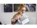Gear for What You Love to Do Office Depot OfficeMax